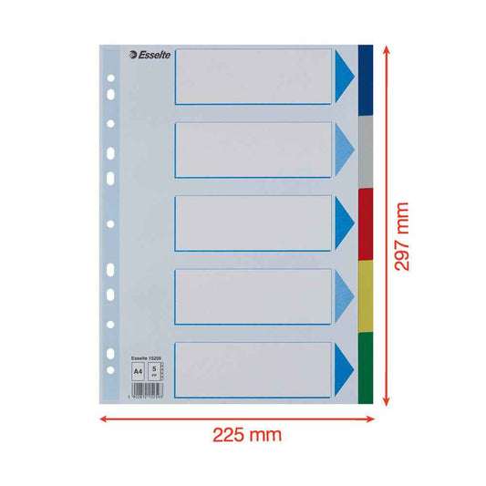 Separadores A4 Polipropileno Esselte (5 Pestanas) - Cores Sortidas