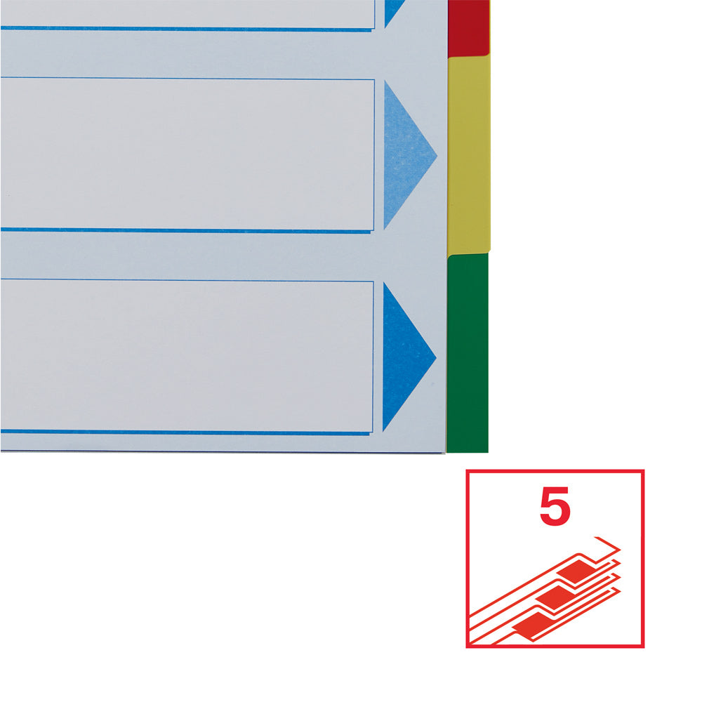 Separadores A4 Polipropileno Esselte (5 Pestanas) - Cores Sortidas