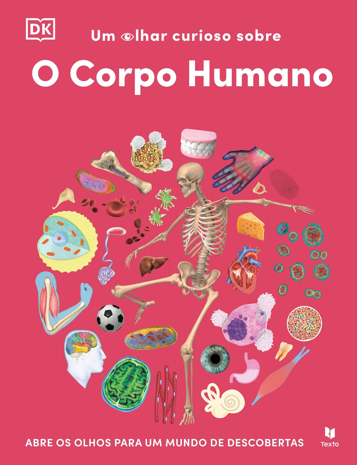 Um Olhar Curioso sobre -  O Corpo Humano - Texto DK